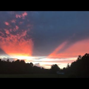 Meet your Posher, Paulina